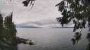 ./images/koeye/fitz-hugh/20260718/fitz-hugh20260718_144001M.jpg