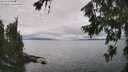 ./images/koeye/fitz-hugh/20260718/fitz-hugh20260718_144501M.jpg