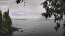 ./images/koeye/fitz-hugh/20260718/fitz-hugh20260718_150001M.jpg