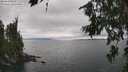 ./images/koeye/fitz-hugh/20260718/fitz-hugh20260718_151002M.jpg