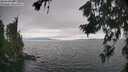 ./images/koeye/fitz-hugh/20260718/fitz-hugh20260718_153501M.jpg