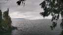 ./images/koeye/fitz-hugh/20260718/fitz-hugh20260718_154501M.jpg