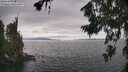 ./images/koeye/fitz-hugh/20260718/fitz-hugh20260718_155002M.jpg
