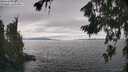 ./images/koeye/fitz-hugh/20260718/fitz-hugh20260718_155501M.jpg