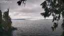 ./images/koeye/fitz-hugh/20260718/fitz-hugh20260718_160001M.jpg