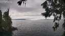./images/koeye/fitz-hugh/20260718/fitz-hugh20260718_160501M.jpg