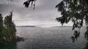 ./images/koeye/fitz-hugh/20260718/fitz-hugh20260718_161002M.jpg