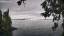 ./images/koeye/fitz-hugh/20260718/fitz-hugh20260718_162002M.jpg
