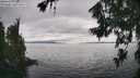 ./images/koeye/fitz-hugh/20260718/fitz-hugh20260718_162501M.jpg