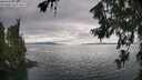 ./images/koeye/fitz-hugh/20260718/fitz-hugh20260718_164002M.jpg