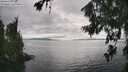 ./images/koeye/fitz-hugh/20260718/fitz-hugh20260718_164501M.jpg
