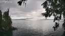 ./images/koeye/fitz-hugh/20260718/fitz-hugh20260718_165001M.jpg