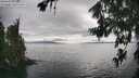./images/koeye/fitz-hugh/20260718/fitz-hugh20260718_165501M.jpg