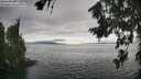 ./images/koeye/fitz-hugh/20260718/fitz-hugh20260718_171501M.jpg