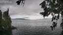 ./images/koeye/fitz-hugh/20260718/fitz-hugh20260718_172002M.jpg