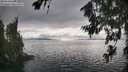 ./images/koeye/fitz-hugh/20260718/fitz-hugh20260718_174501M.jpg