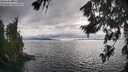./images/koeye/fitz-hugh/20260718/fitz-hugh20260718_180002M.jpg