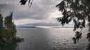 ./images/koeye/fitz-hugh/20260718/fitz-hugh20260718_181502M.jpg