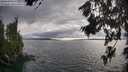 ./images/koeye/fitz-hugh/20260718/fitz-hugh20260718_182501M.jpg