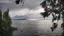./images/koeye/fitz-hugh/20260718/fitz-hugh20260718_183002M.jpg
