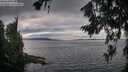 ./images/koeye/fitz-hugh/20260718/fitz-hugh20260718_194501M.jpg