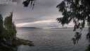 ./images/koeye/fitz-hugh/20260718/fitz-hugh20260718_195501M.jpg