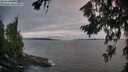 ./images/koeye/fitz-hugh/20260718/fitz-hugh20260718_212001M.jpg