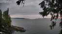 ./images/koeye/fitz-hugh/20260718/fitz-hugh20260718_213001M.jpg