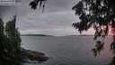 ./images/koeye/fitz-hugh/20260718/fitz-hugh20260718_214501M.jpg