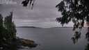 ./images/koeye/fitz-hugh/20260718/fitz-hugh20260718_215501M.jpg