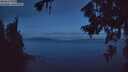 ./images/koeye/fitz-hugh/20260719/fitz-hugh20260719_044502M.jpg