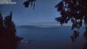 ./images/koeye/fitz-hugh/20260719/fitz-hugh20260719_045002M.jpg