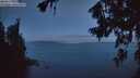./images/koeye/fitz-hugh/20260719/fitz-hugh20260719_045501M.jpg