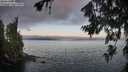 ./images/koeye/fitz-hugh/20260719/fitz-hugh20260719_060002M.jpg