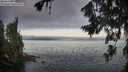 ./images/koeye/fitz-hugh/20260719/fitz-hugh20260719_061001M.jpg