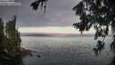 ./images/koeye/fitz-hugh/20260719/fitz-hugh20260719_061501M.jpg