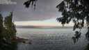 ./images/koeye/fitz-hugh/20260719/fitz-hugh20260719_062002M.jpg