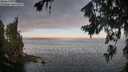 ./images/koeye/fitz-hugh/20260719/fitz-hugh20260719_063501M.jpg