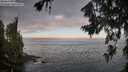 ./images/koeye/fitz-hugh/20260719/fitz-hugh20260719_064501M.jpg