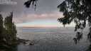 ./images/koeye/fitz-hugh/20260719/fitz-hugh20260719_065001M.jpg