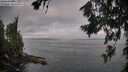 ./images/koeye/fitz-hugh/20260719/fitz-hugh20260719_072002M.jpg