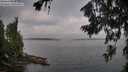./images/koeye/fitz-hugh/20260719/fitz-hugh20260719_075002M.jpg