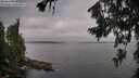 ./images/koeye/fitz-hugh/20260719/fitz-hugh20260719_075501M.jpg