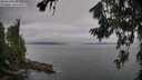 ./images/koeye/fitz-hugh/20260719/fitz-hugh20260719_080501M.jpg