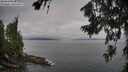 ./images/koeye/fitz-hugh/20260719/fitz-hugh20260719_081001M.jpg