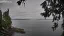 ./images/koeye/fitz-hugh/20260719/fitz-hugh20260719_083001M.jpg