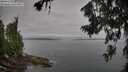 ./images/koeye/fitz-hugh/20260719/fitz-hugh20260719_083501M.jpg