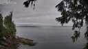 ./images/koeye/fitz-hugh/20260719/fitz-hugh20260719_084001M.jpg