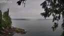 ./images/koeye/fitz-hugh/20260719/fitz-hugh20260719_085001M.jpg