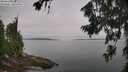 ./images/koeye/fitz-hugh/20260719/fitz-hugh20260719_092002M.jpg
